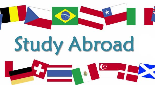 Vital Points to Consider While Looking for Overseas Study Options - Web